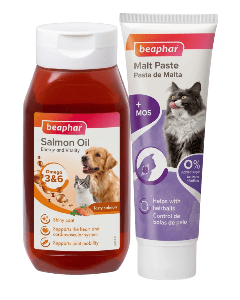 باك العناية بالقطط زيت السالمون ومعجون بيفار